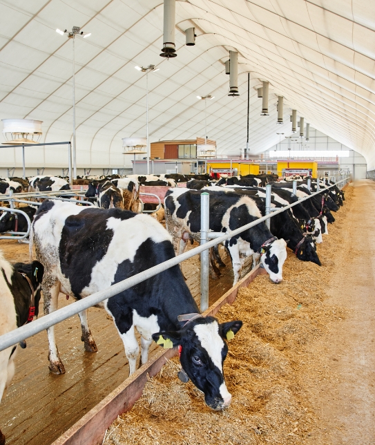 Découvrez nos réussites à travers nos chiffres clés